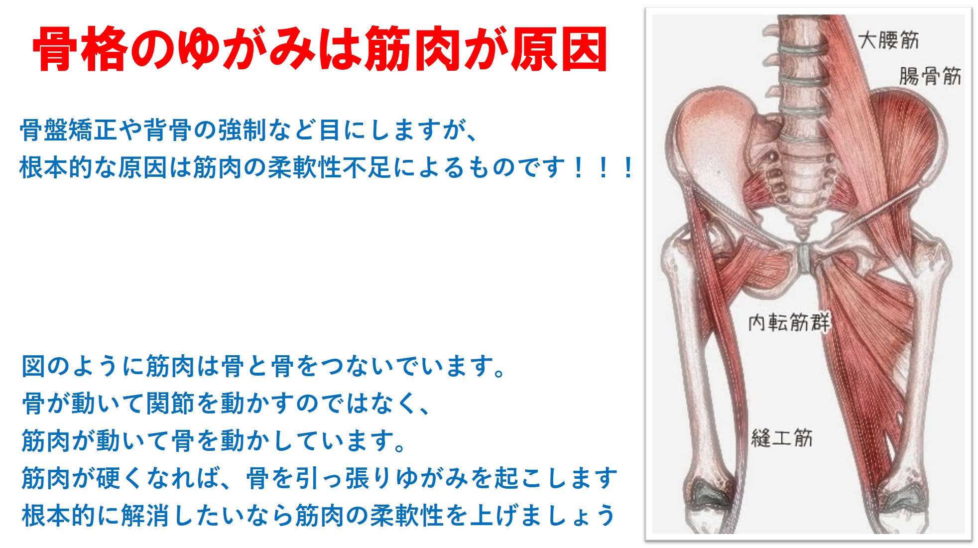 姿勢のゆがみは にあり 西宮ストレッチftスポーツ ストレッチトレーニングftスポーツ 西宮 兵庫